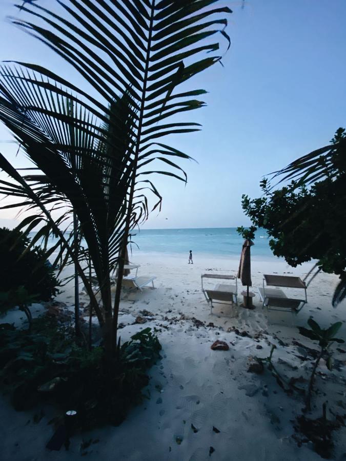 Crystal Beach Nungwi Exterior photo
