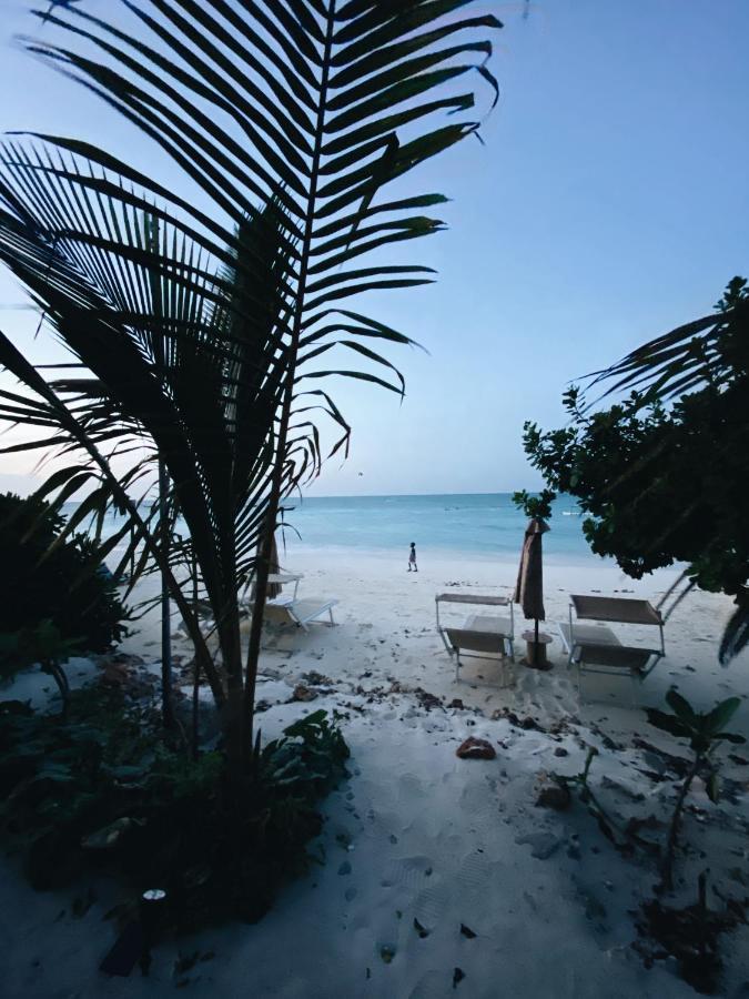 Crystal Beach Nungwi Hotel Exterior photo